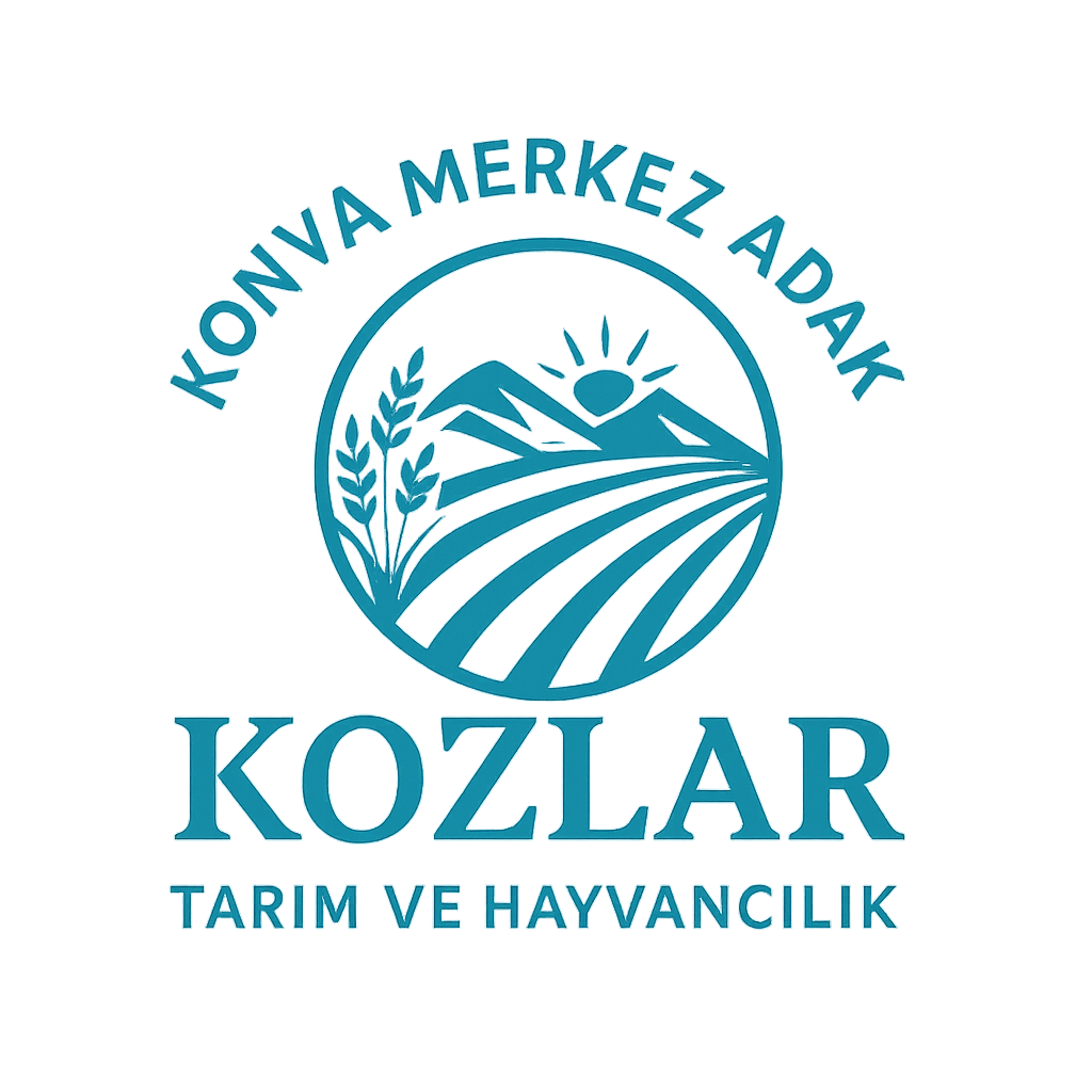 Konya Merkez Adak